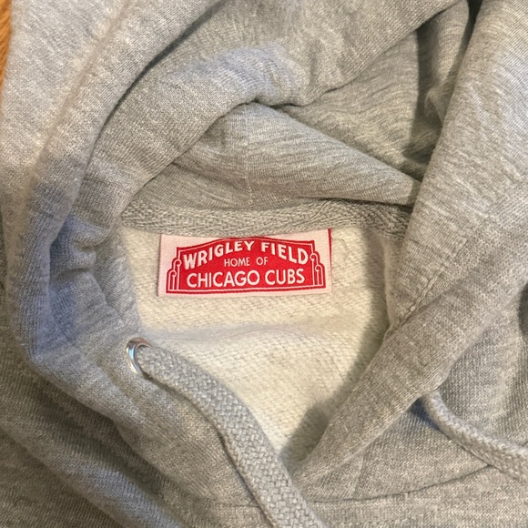 Gray Wrigley Field Hoodie - Picture 2 of 3